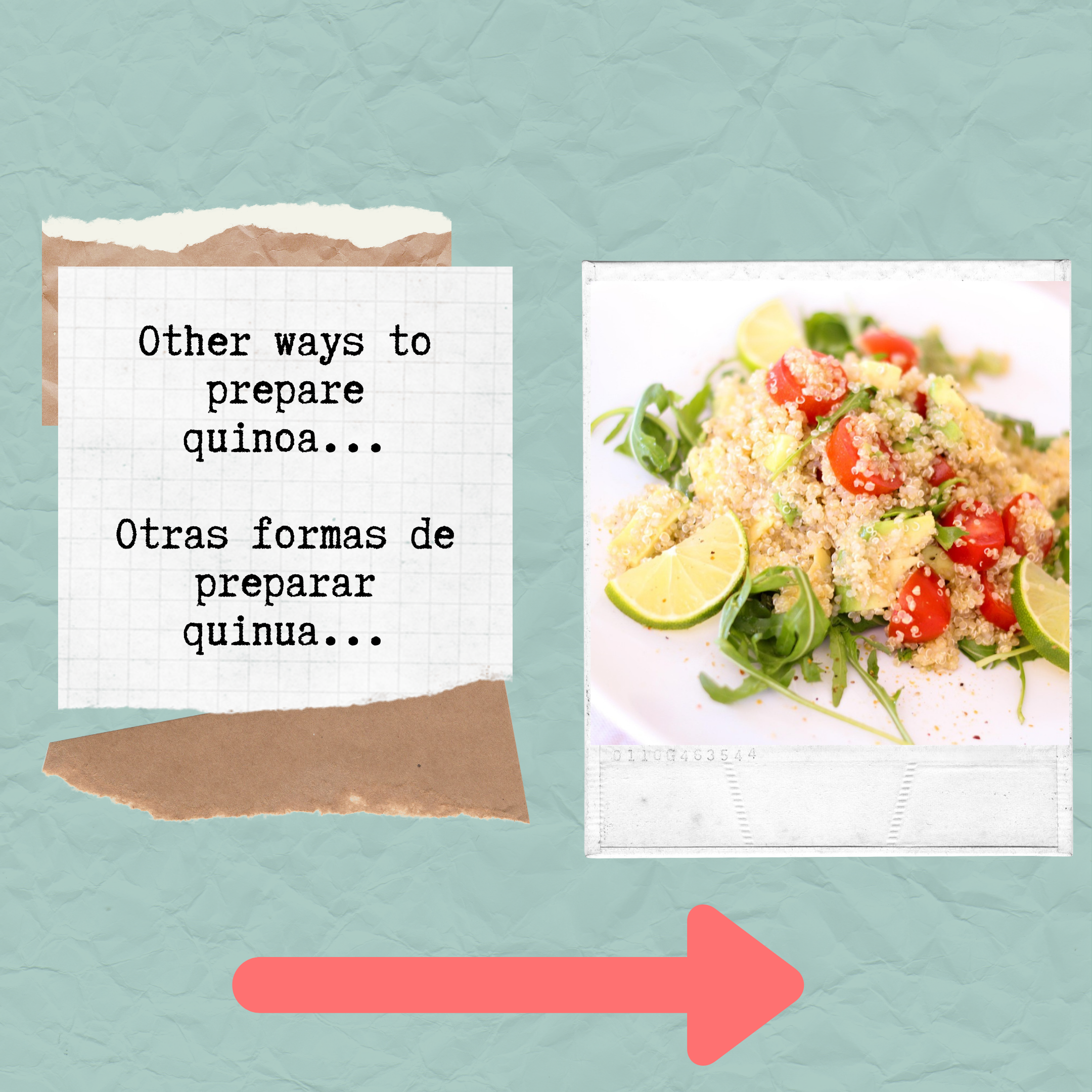 quinoa6.png