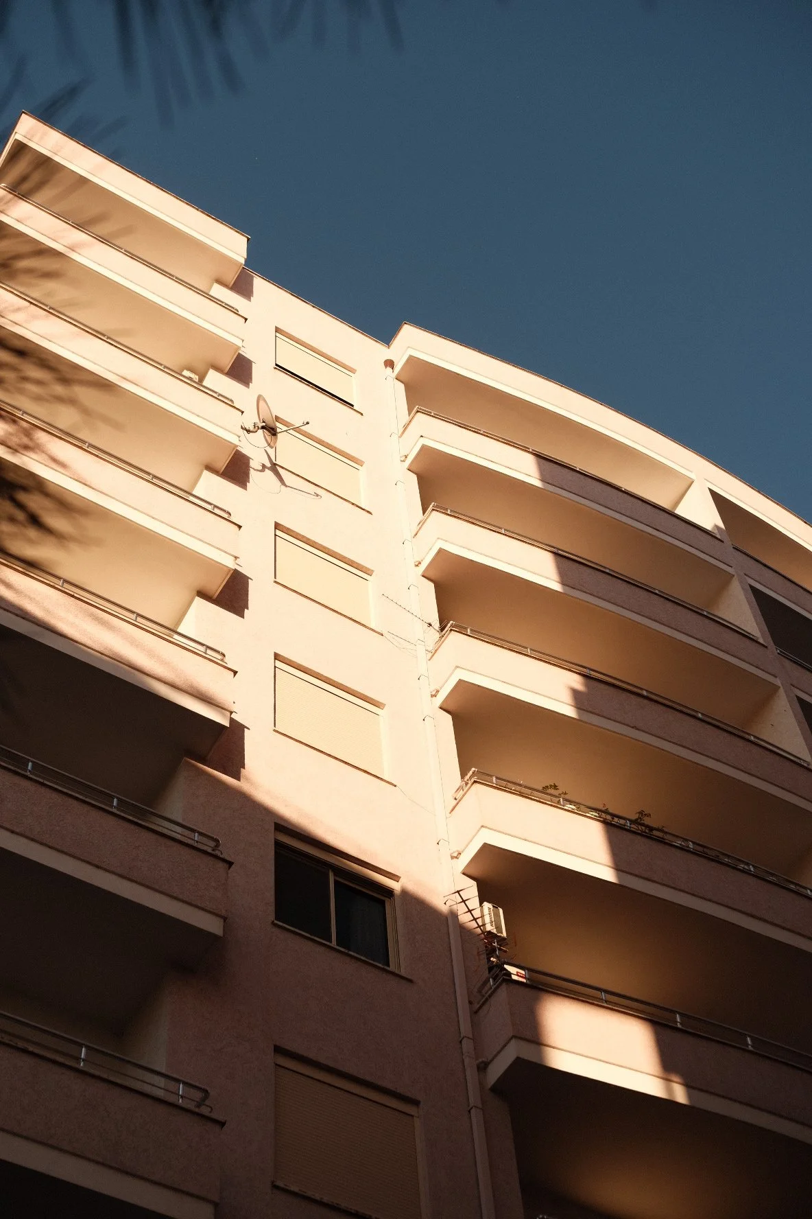 DSCF4255.JPG