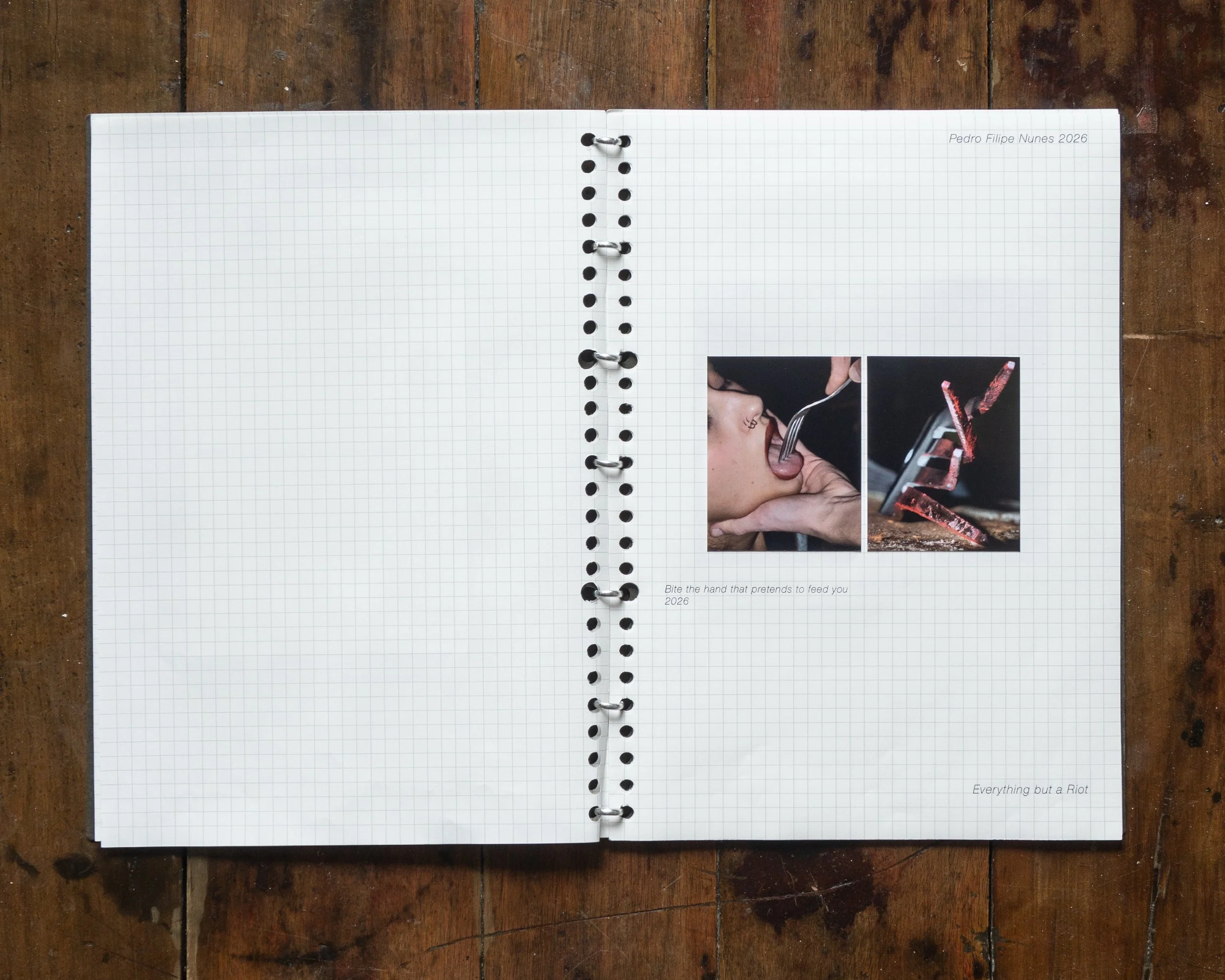 Selected works portfolio for the exhibition Everything but a Riot, Paris, France, 2026