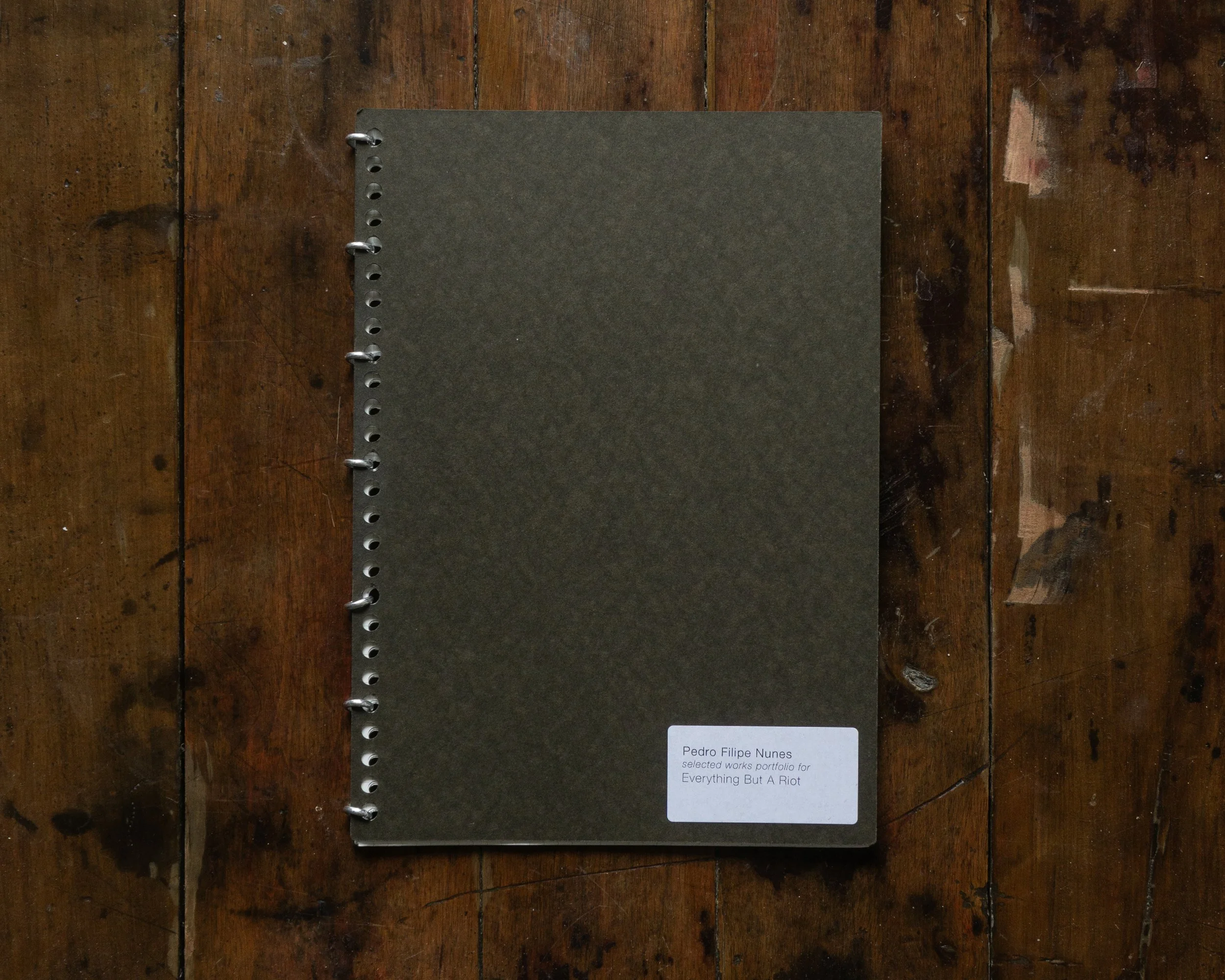 Selected works portfolio for "Everything but a Riot"
