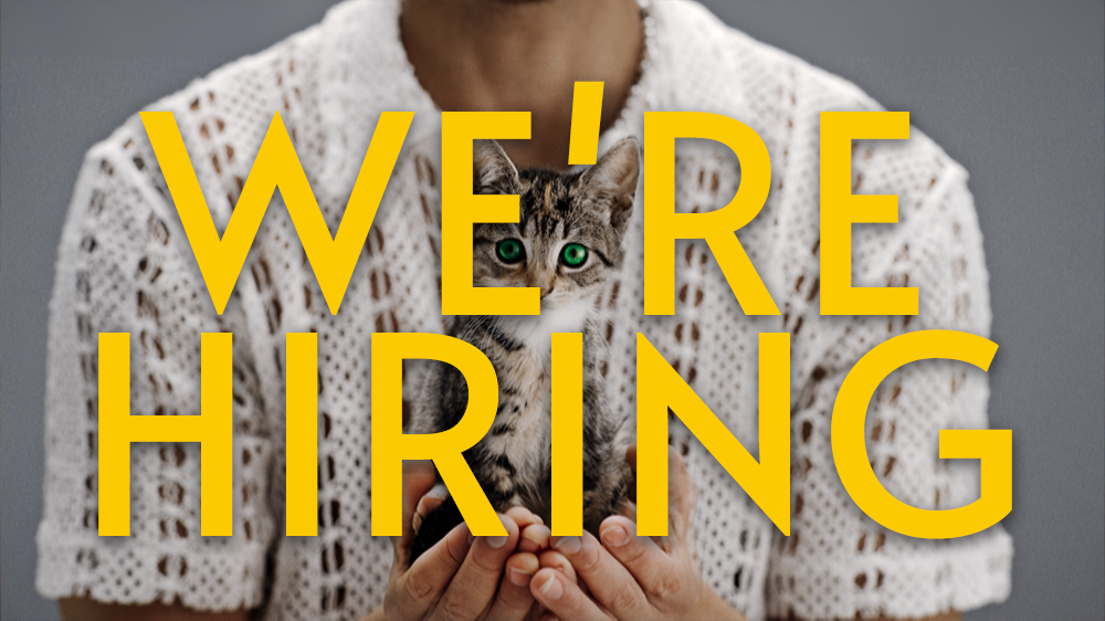      

 
     FULL TIME // JR - MID WEIGHT STUDIO SUPPORT ROLE AT PRIVATE ISLAND    Hello to you,  We are looking for a new Islander to join our small but mighty world-class team. A great opportunity for those wanting to work in mixed media commercia