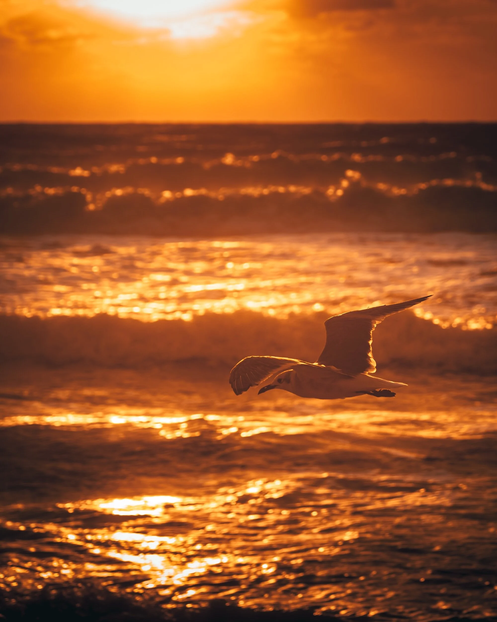 Yoga Classes Near Whitley Bay | Local Beginner Yoga Classes — Jasmine ...