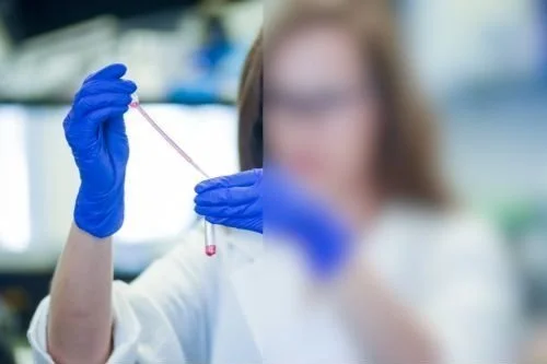 Laboratory Transparency The New Era of Transparent Lab Partnerships — Innacos Labs