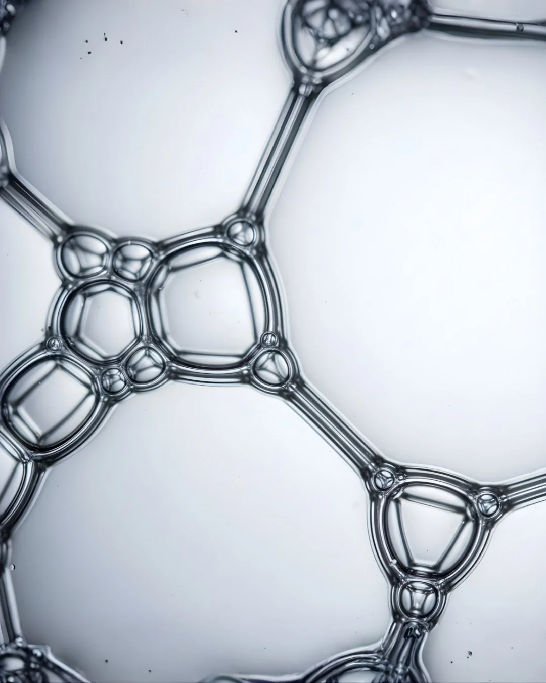 Diseño sin título - 2026-01-26T102931.585.jpg