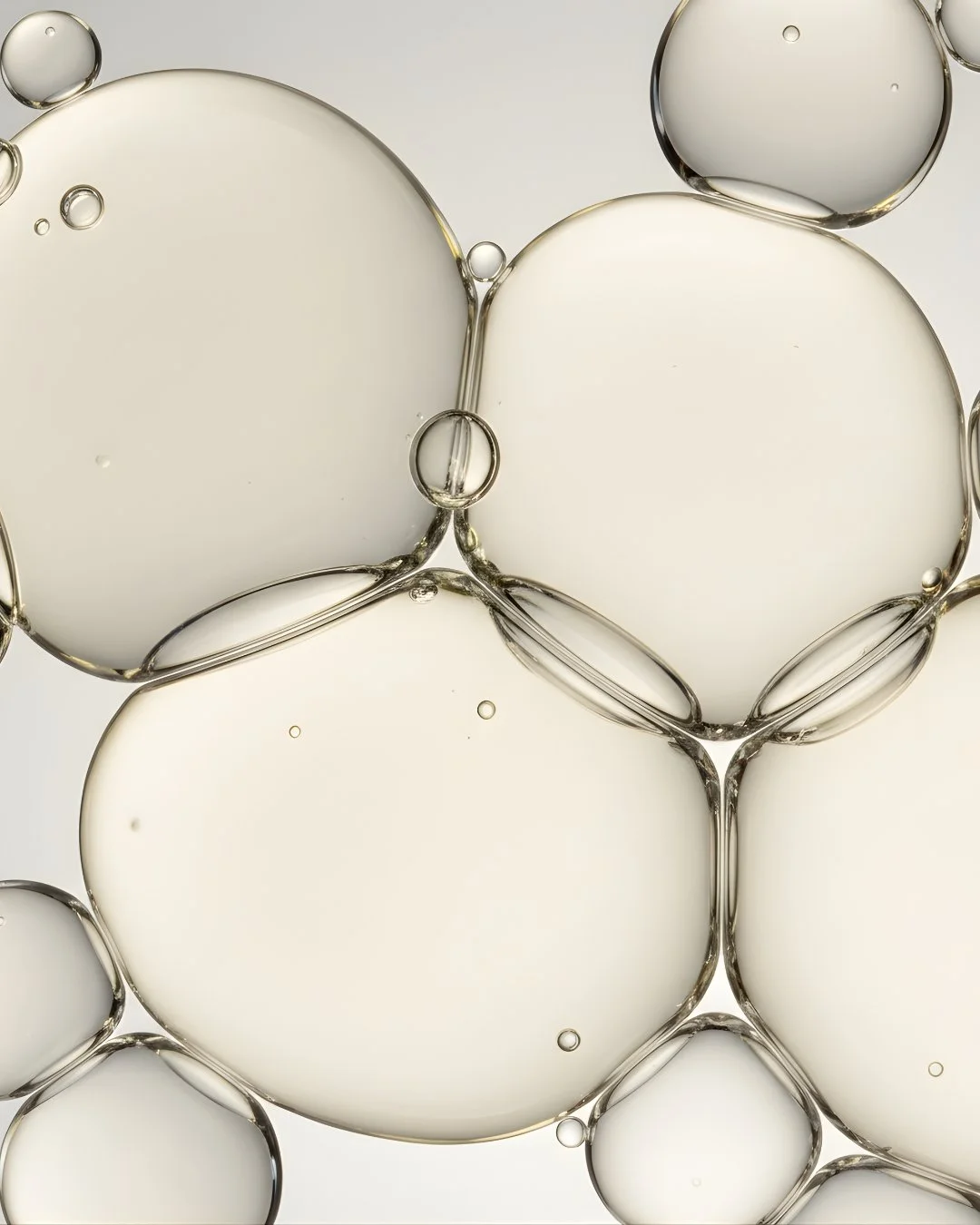 Diseño sin título (59).jpg