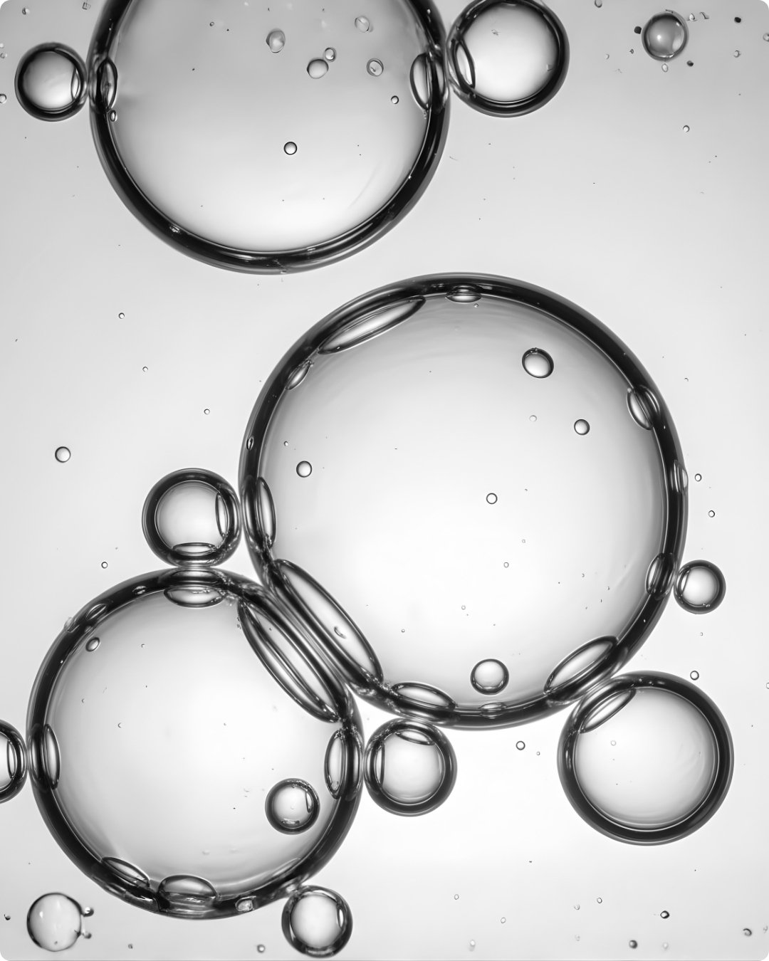 Diseño sin título (55).jpg