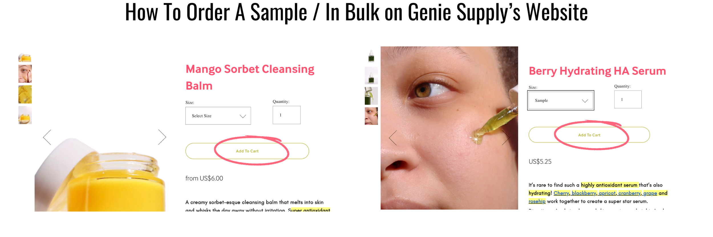 The Top 10 Skincare Vendors For Your Brand — Genie Supply