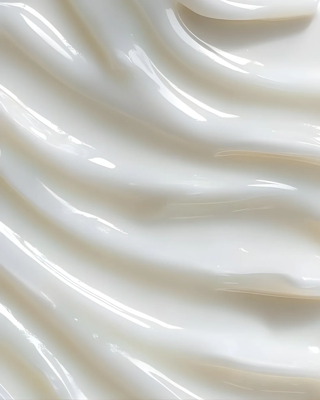 Diseño sin título - 2026-01-26T111210.335.jpg