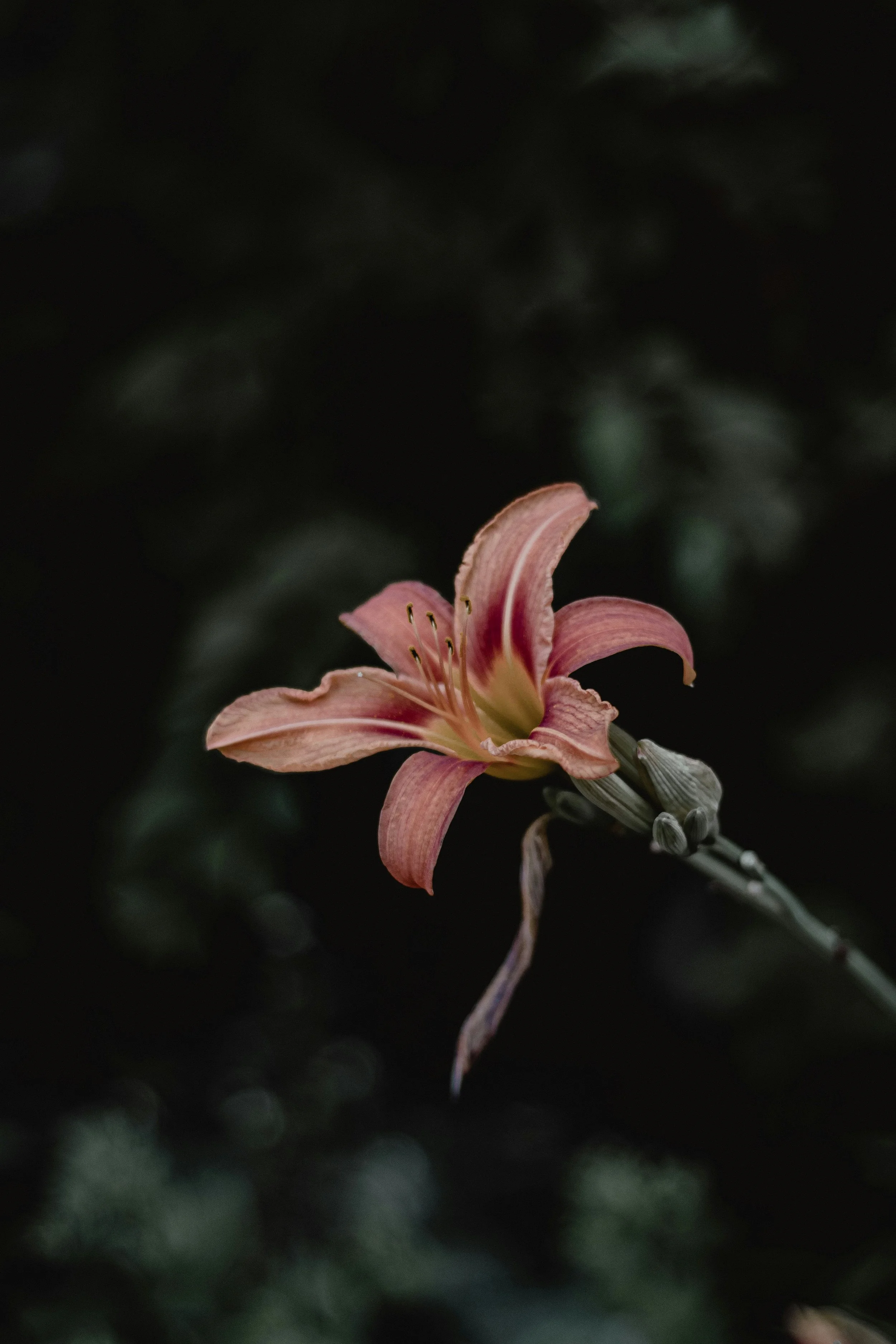 Relational & Psychosexual Therapy