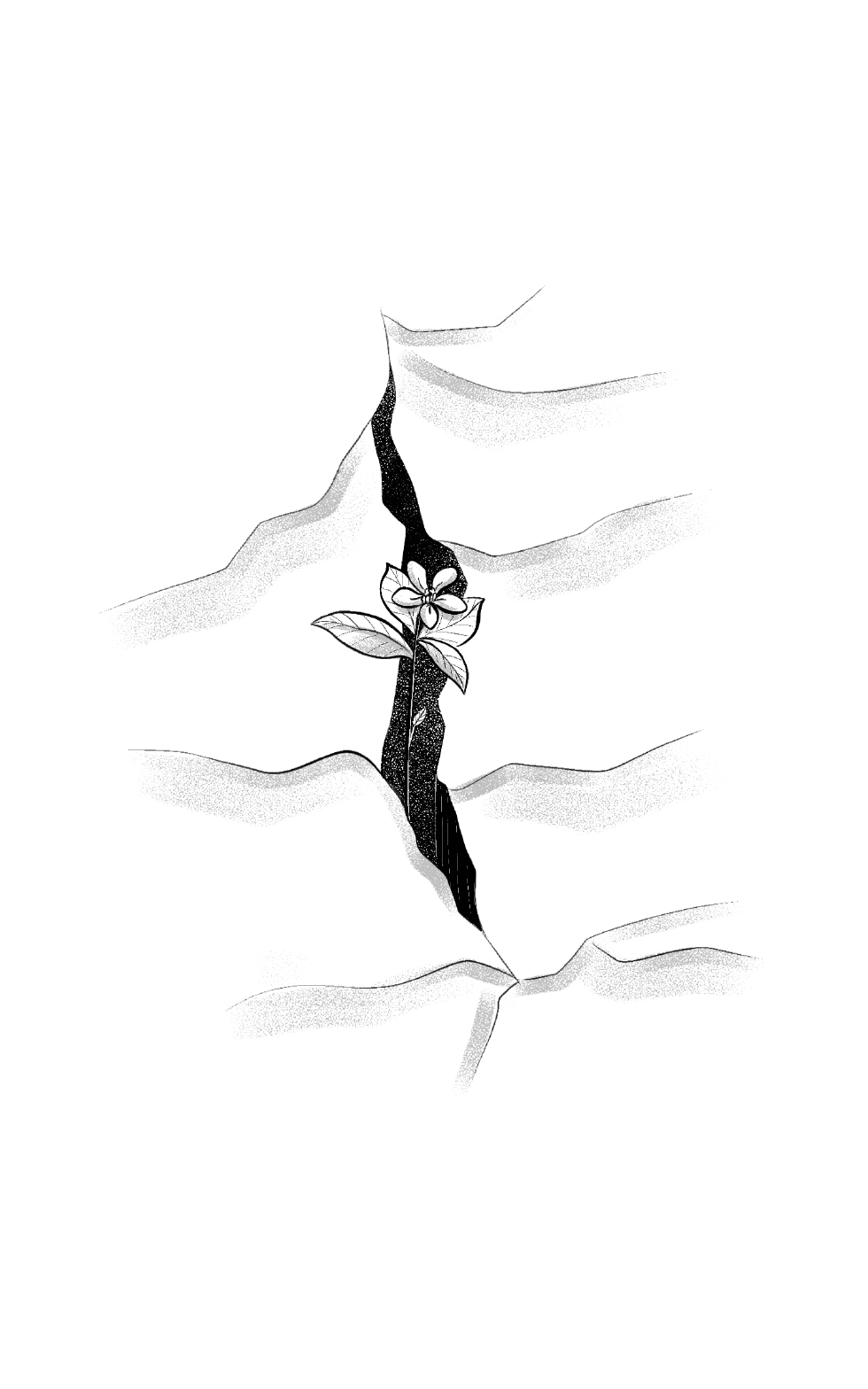 simonadeleo-04.png