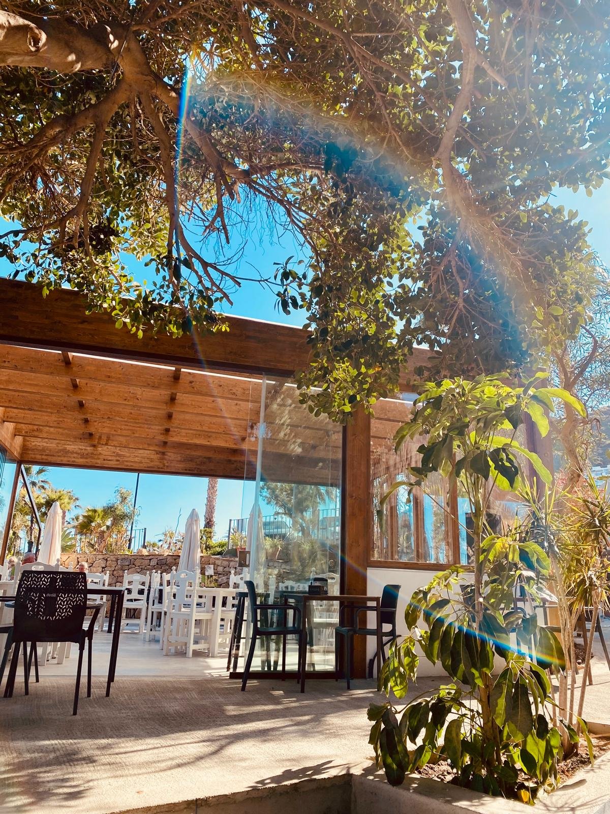 Terraza de restaurante al aire libre con árboles, sillas y mesas, techo de madera y cielo despejado.