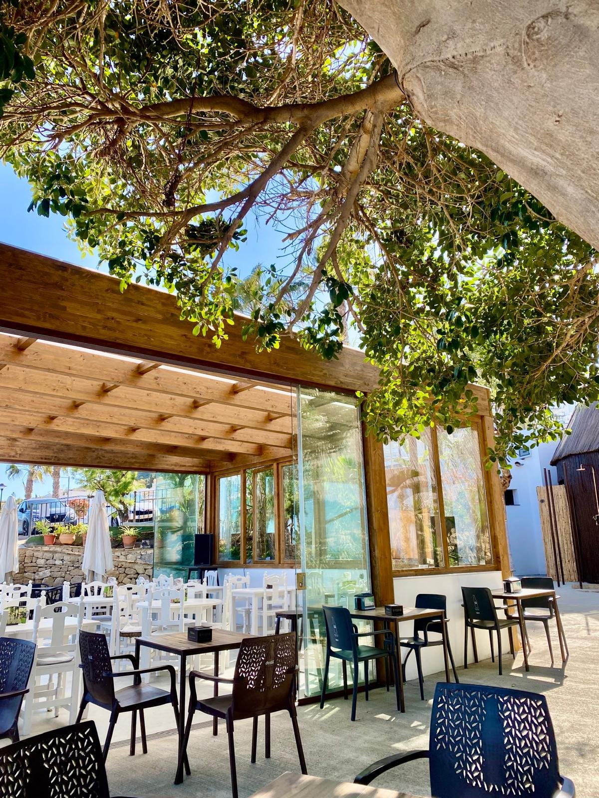 Terraza al aire libre con mesas y sillas de madera y plástico, rodeada de vegetación y bajo el techo de un árbol grande. La estructura tiene paredes de vidrio.