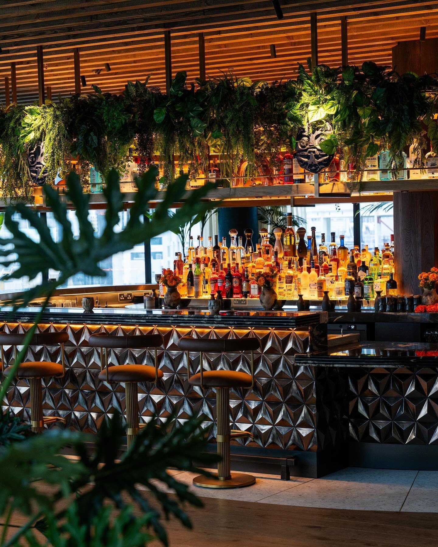 The #LosMochisLondonCity Agaveria bar offers a refined sanctuary for enthusiasts and connoisseurs of agave spirits. Situated within our vast lounge, our Agaveria boasts an impressive array of exquisite tequilas and mezcals, ranging from renowned inte