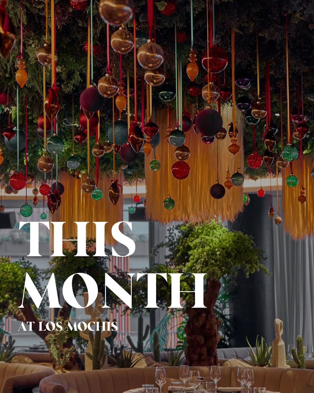 December at Los Mochis.

Gather the crew, reserve via bio.