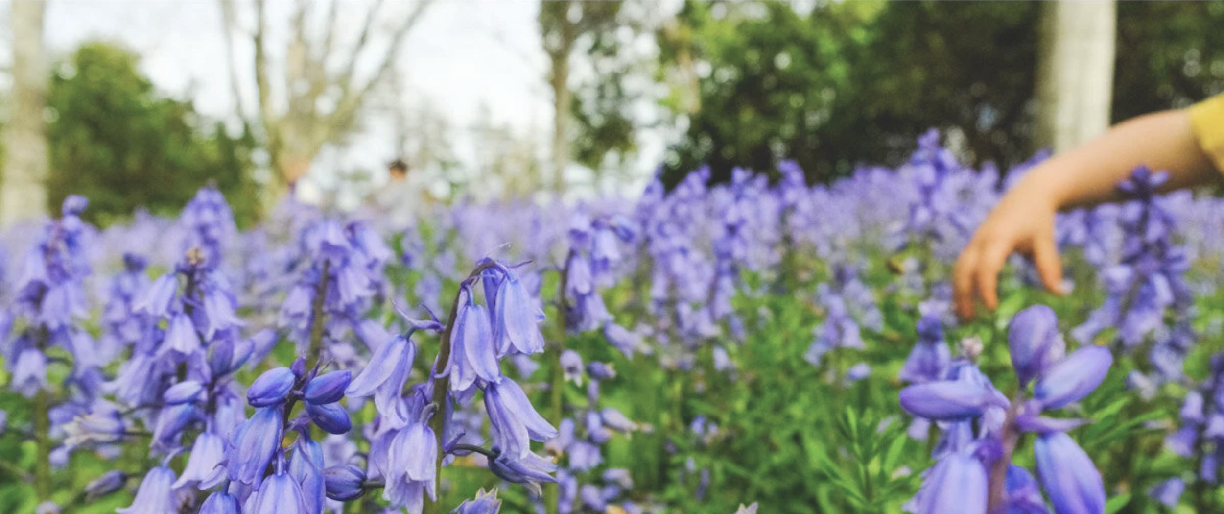 Screenshot 2025-08-29 at 9.20.17 AM.png