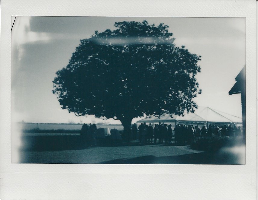 Scan 2024-7-6 12.28.35.jpeg