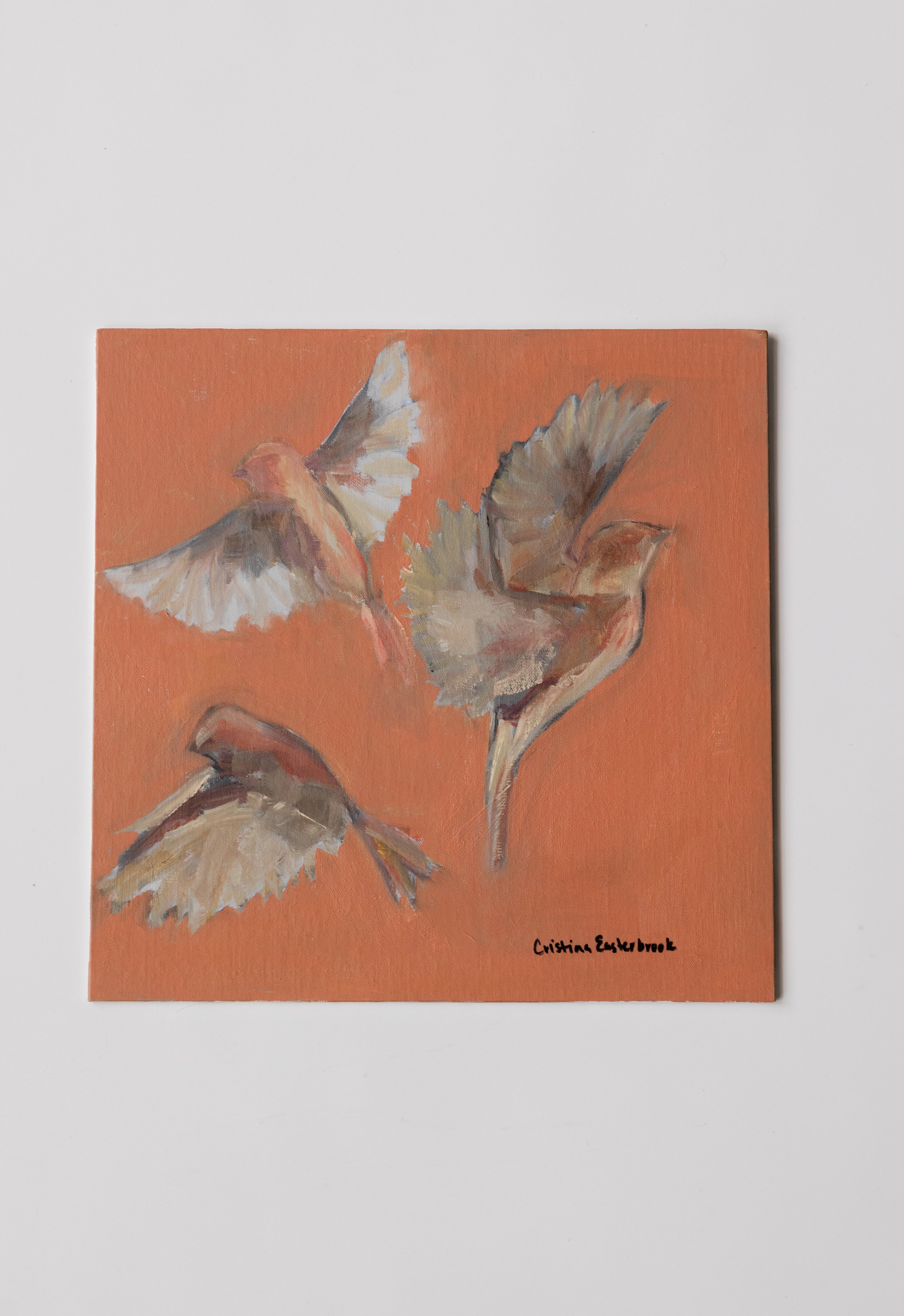 "I own a bird house."
12x12 oil on panel