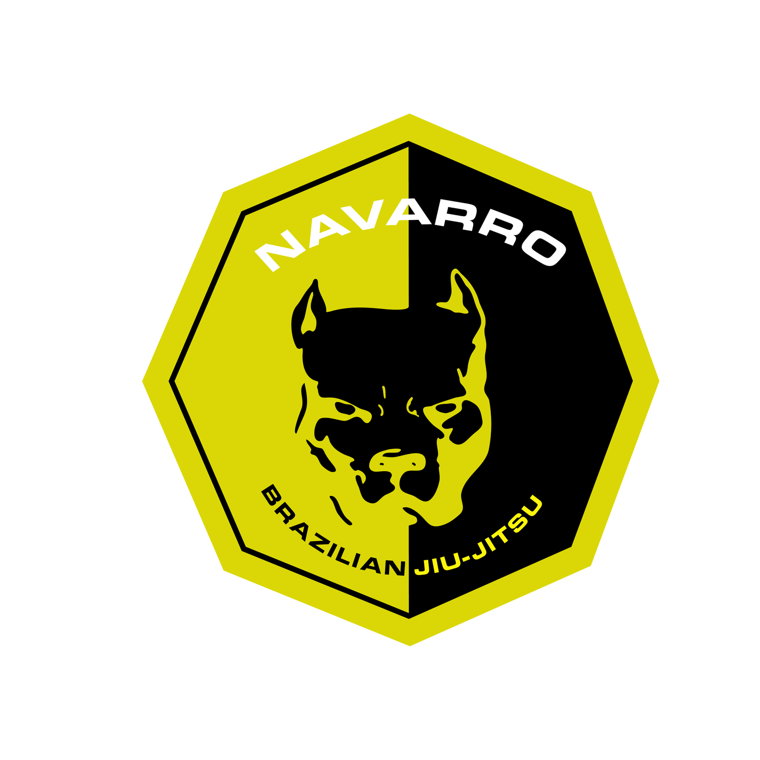 Navarro Brazilian Jiu-Jitsu Fight School