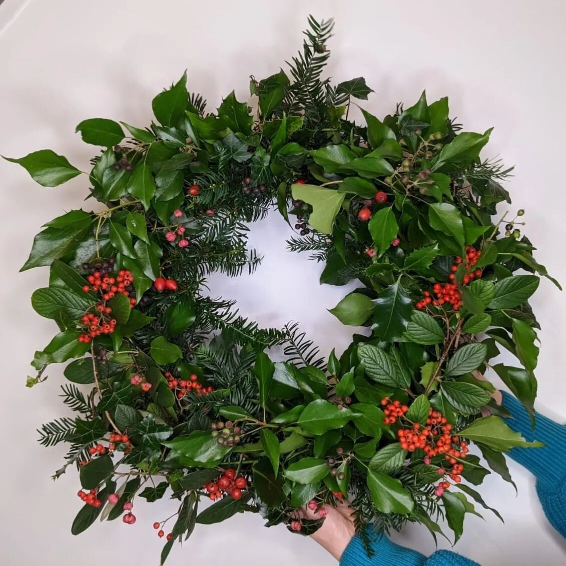 Can we talk about Christmas Wreaths 🎄
Do you make em, buy a fresh one, or do you prefer cracking out ye olde artificial favourite each year? (Or maybe you hate em?! Not sure how that'd be possible though...)

This is the one and only time I foraged 