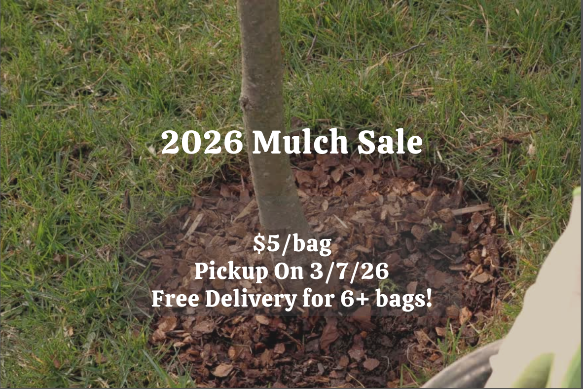 Website Carosel Mulch Image.png