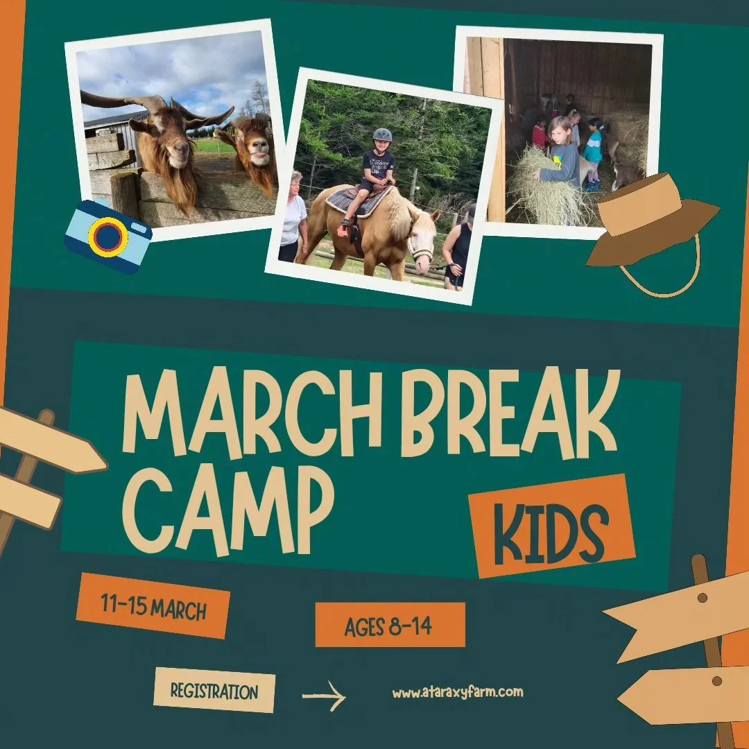 Ataraxy Farm March Break Farm Camp