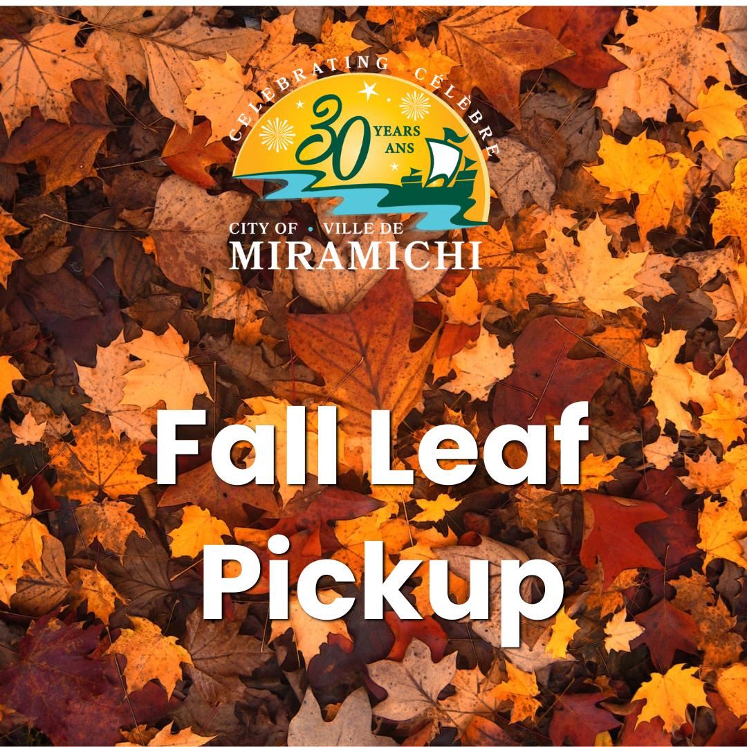 Fall Leaf Pickup 2025