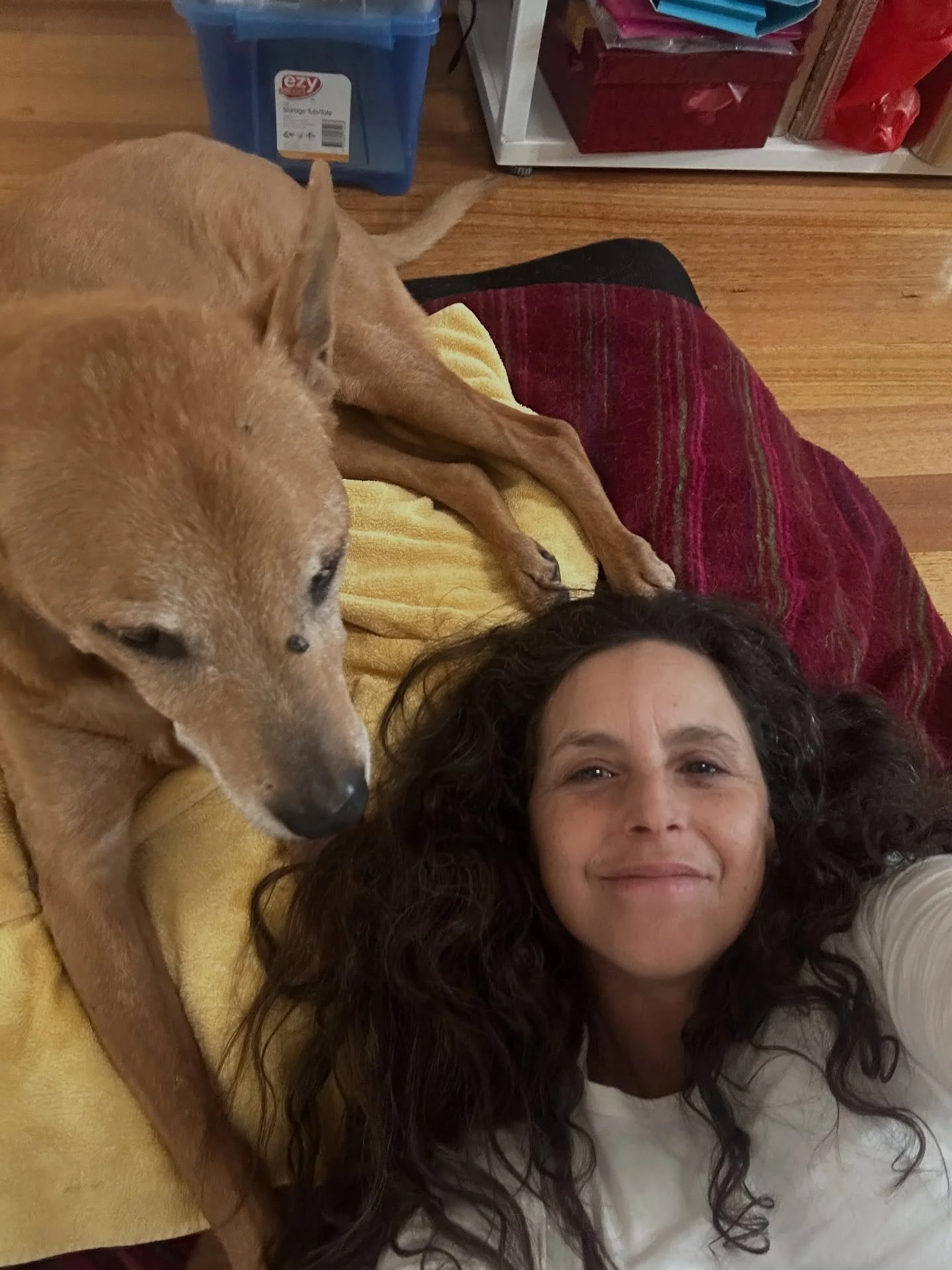 Emi’s been with me for more than 15 years. She’s had a few people look after her while I’ve been away on trips.
But she’s been a constant companion to me for over 15 years.
She had a close call last year but she made it throu