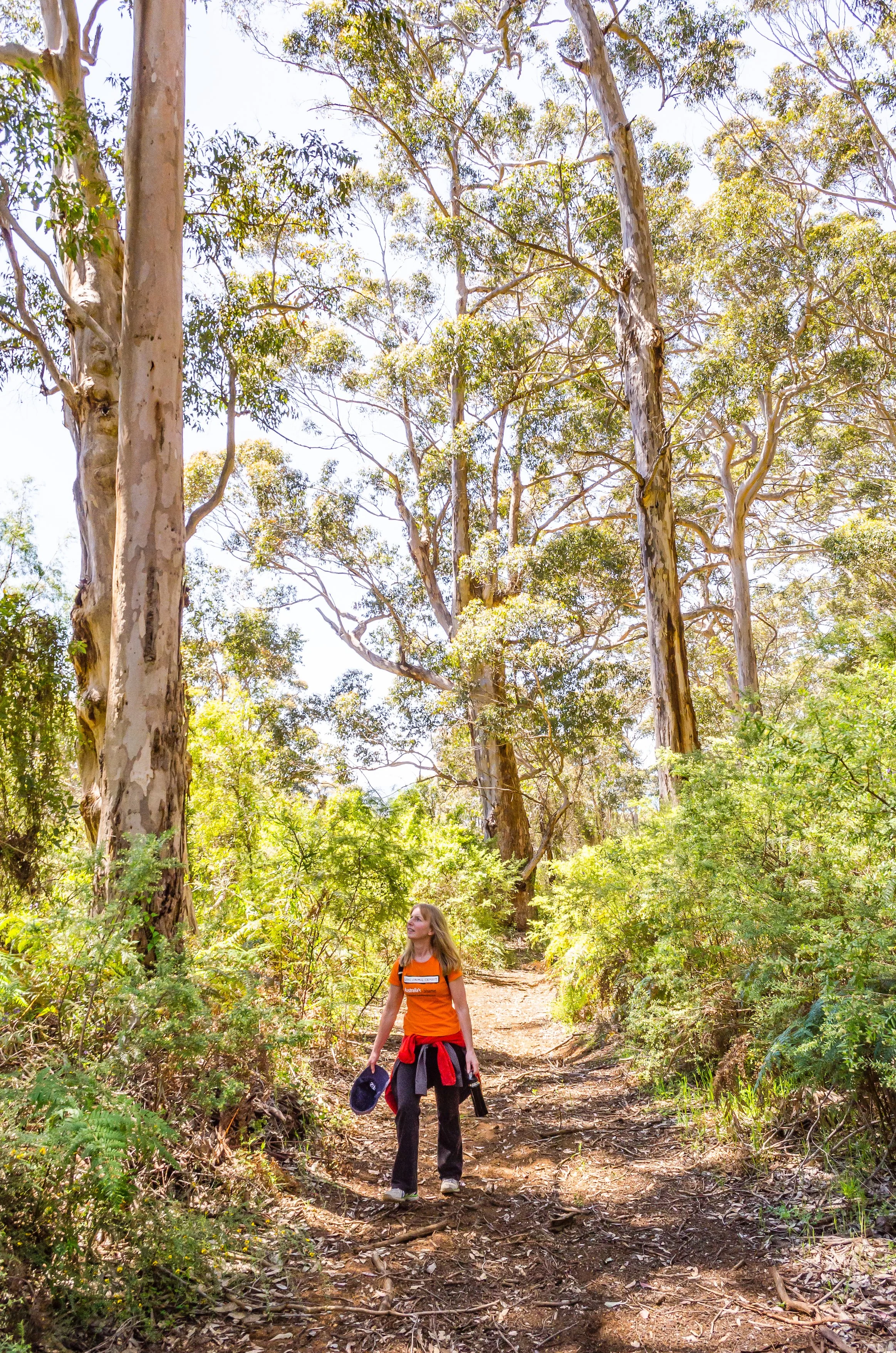 Sue Louwman Testimonial photo.jpeg