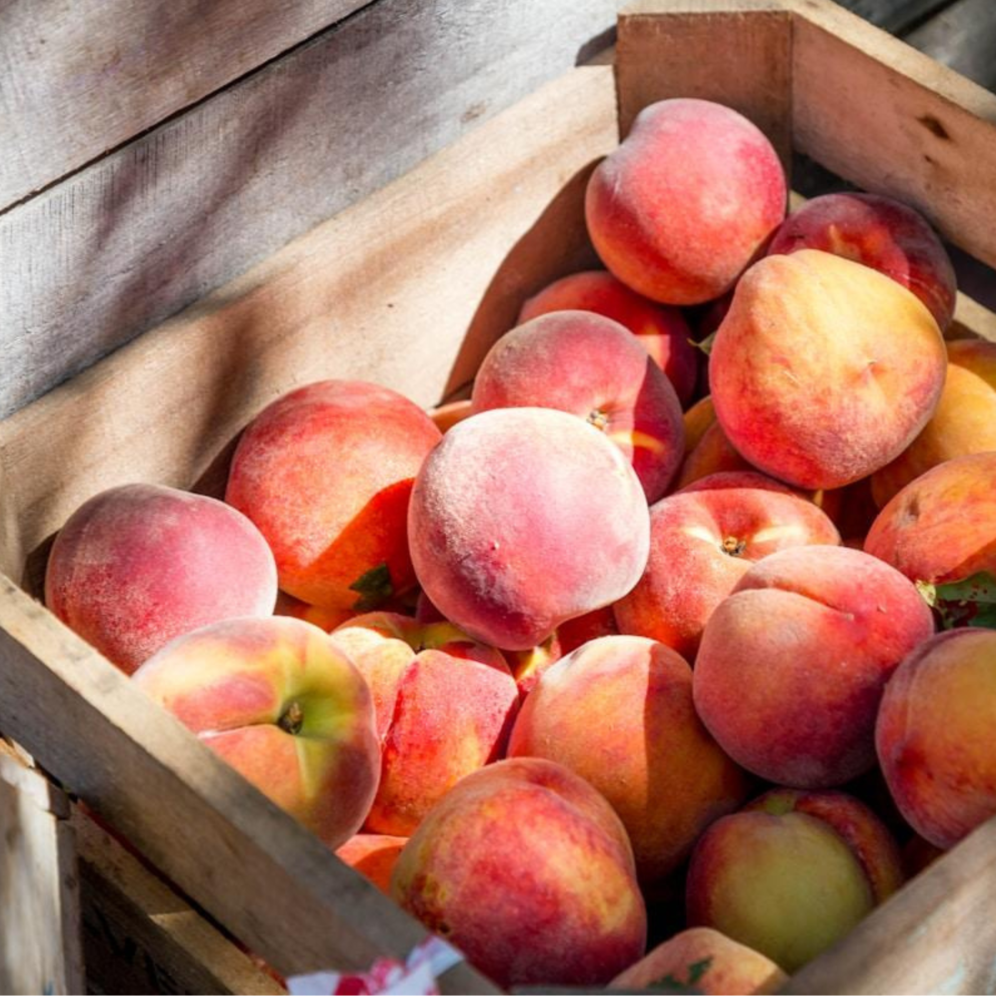 turn summer’s bounty into pantry treasures 🍑