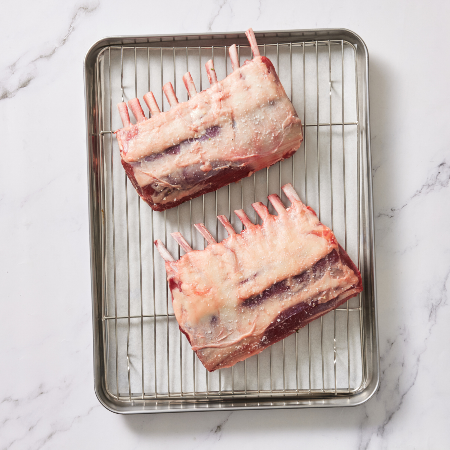 lamb 3.png