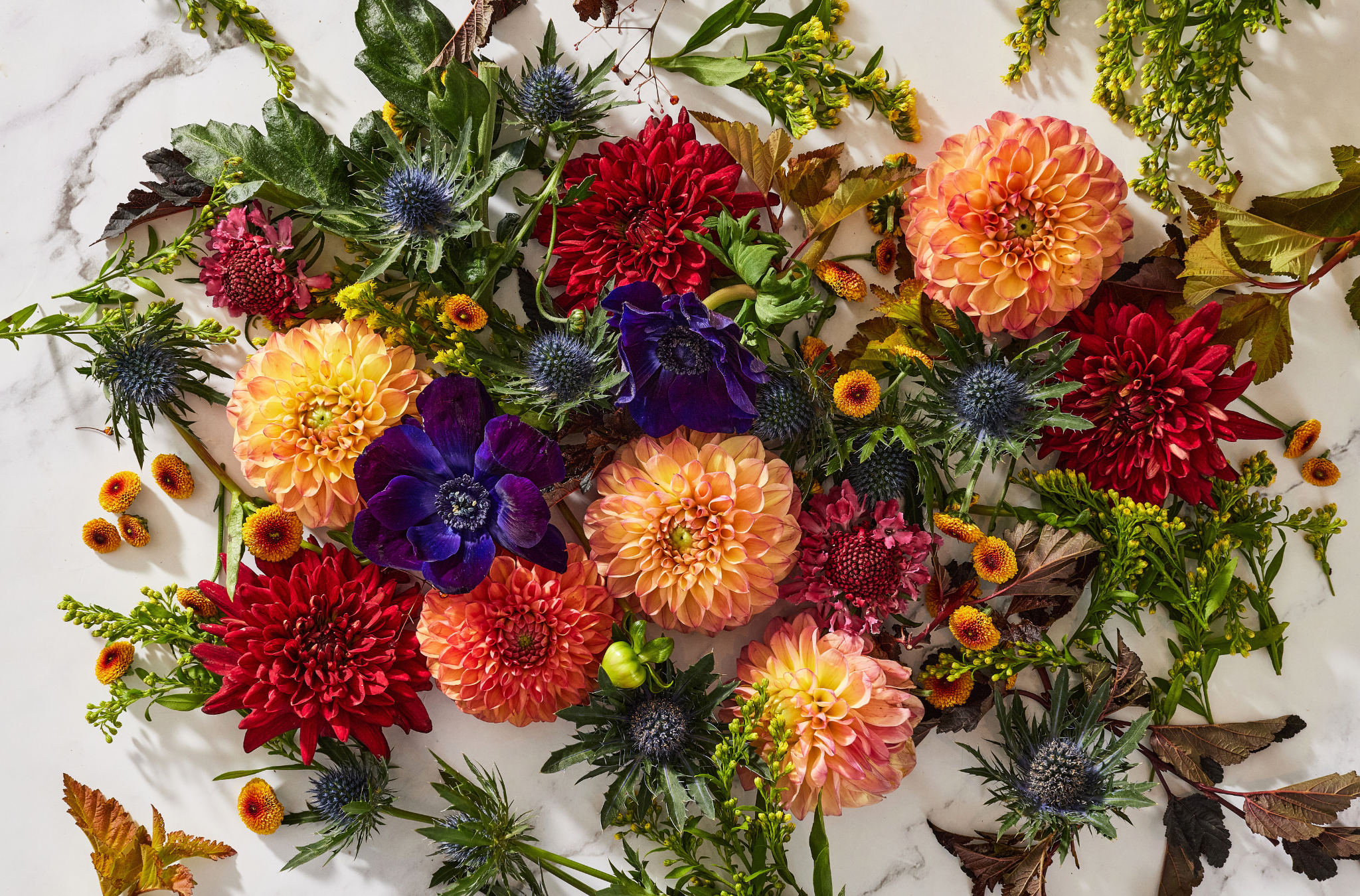 floral (1).png