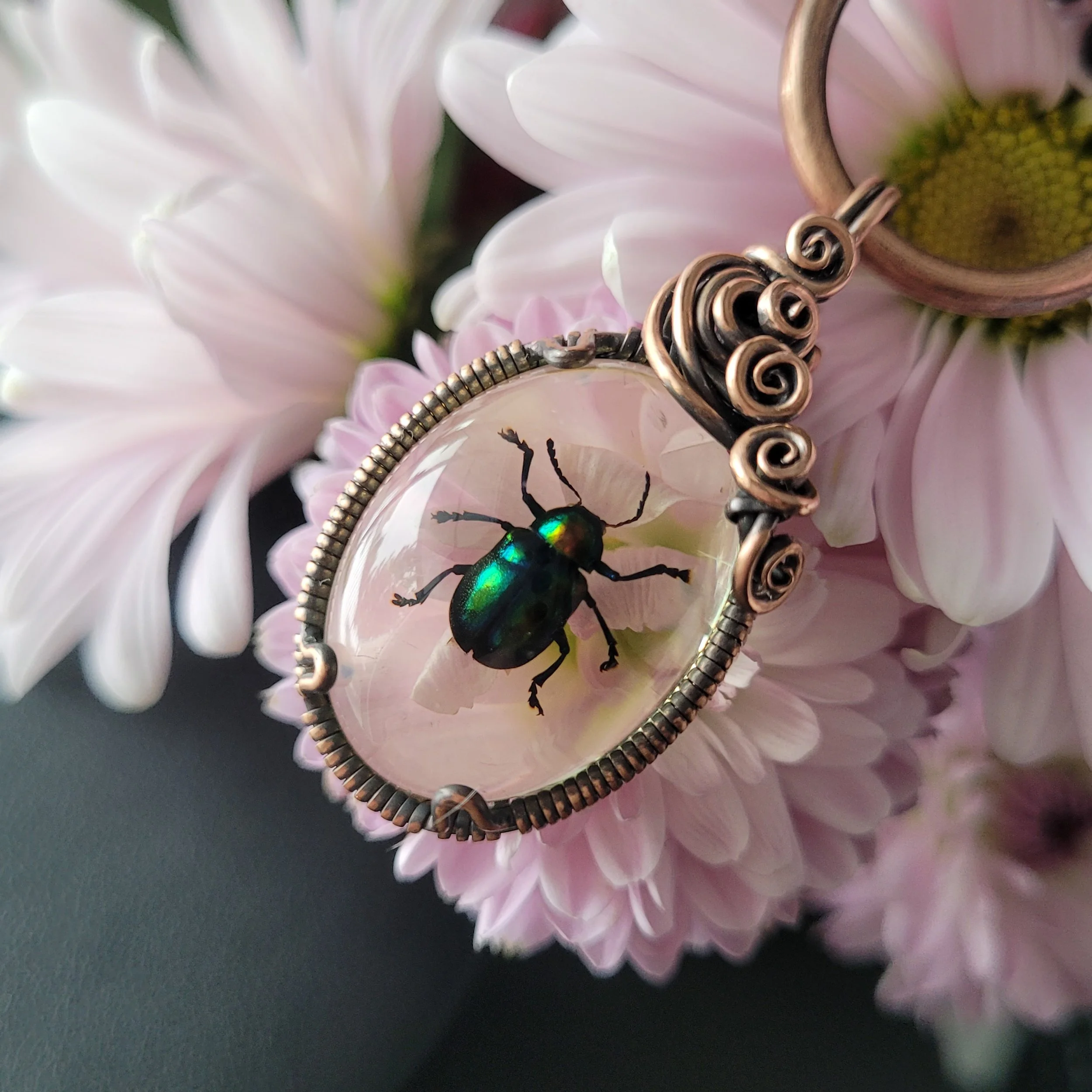 Dogbane Beetle Choker