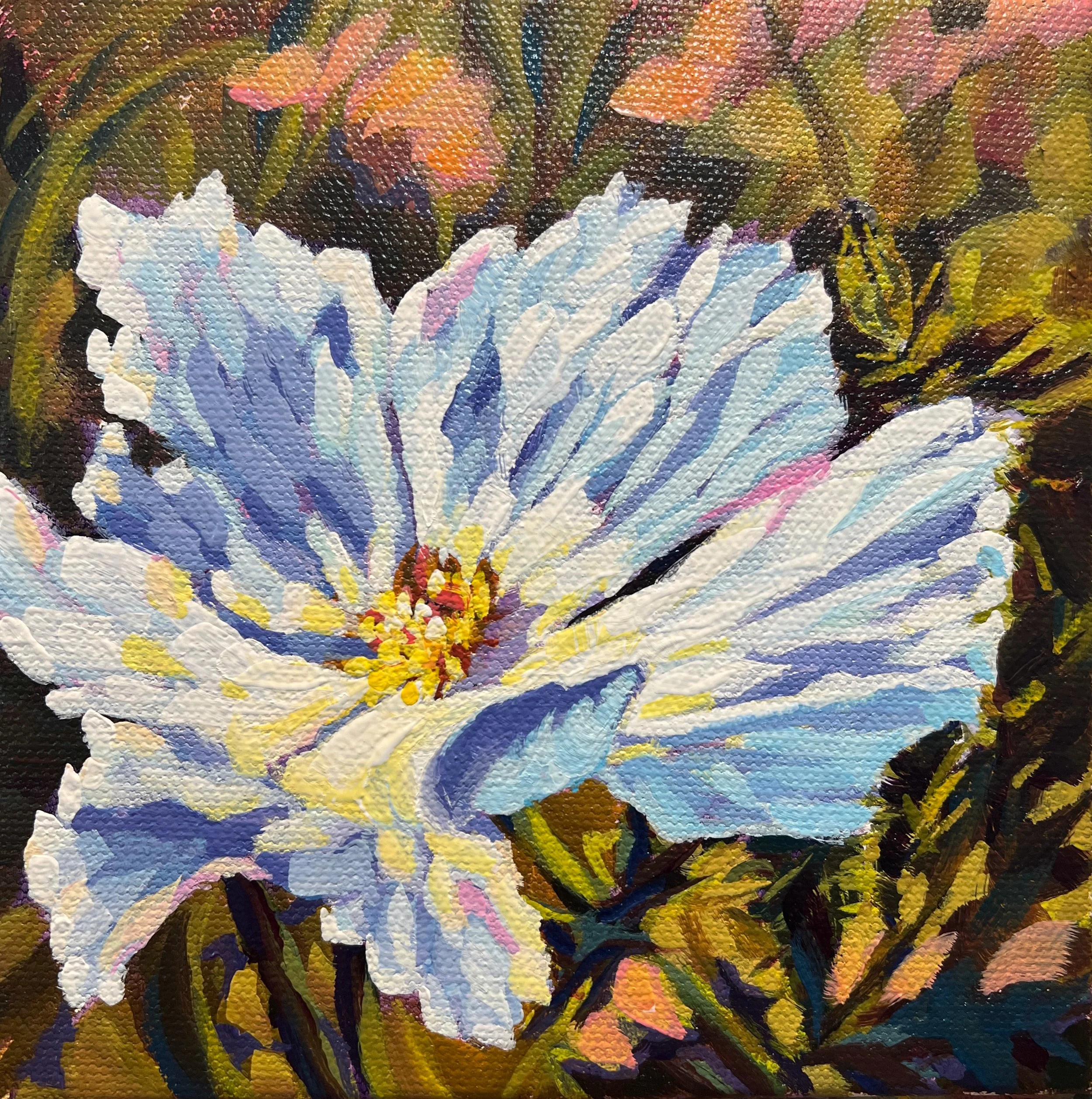 Prickly Poppy #2 (6" x 6")