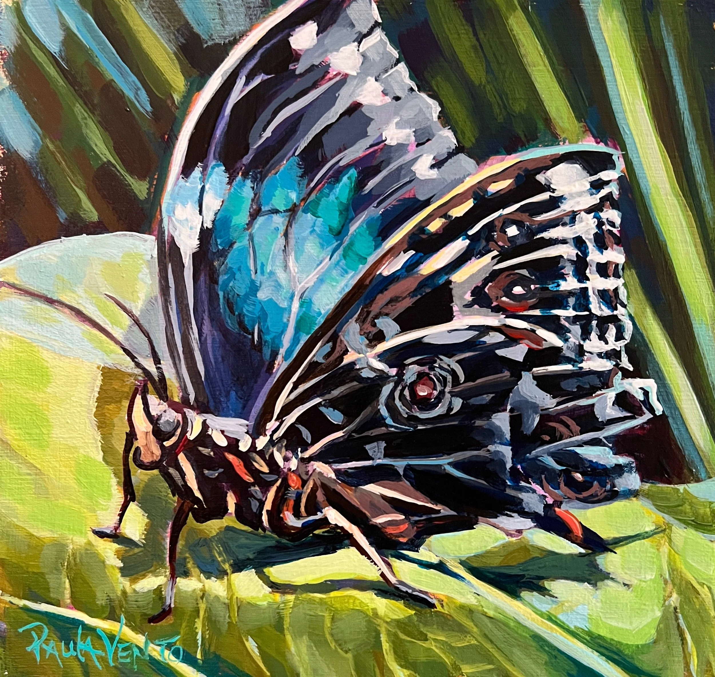 Contact Us — Paula Vento Art