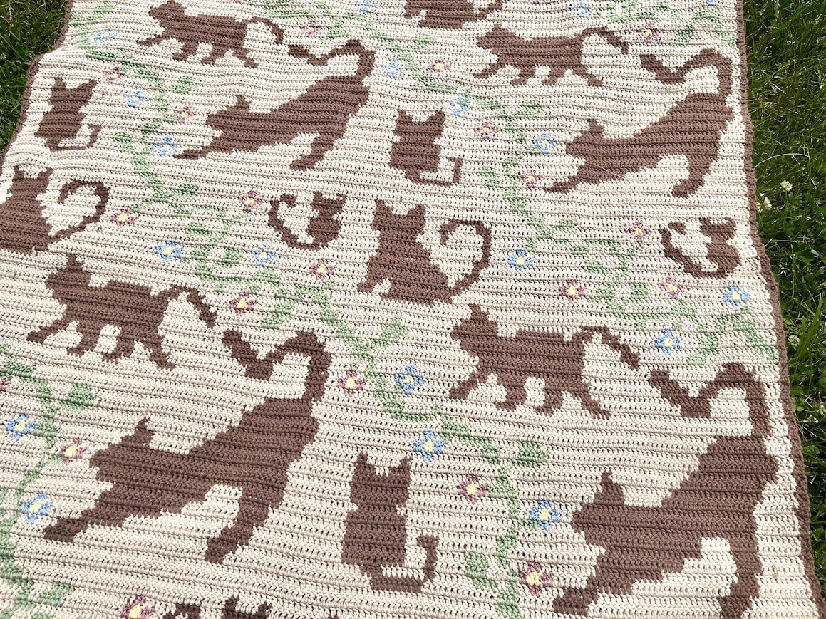 Cat Nap Blanket Pattern — Savannah's Stitches