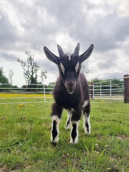 The countdown is on!