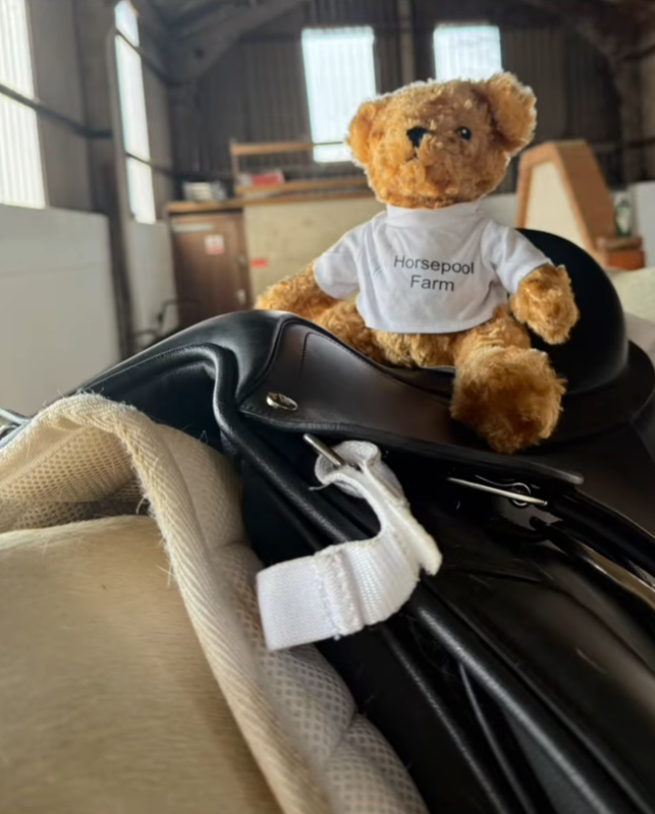 Name Him &amp; Take Him Home!