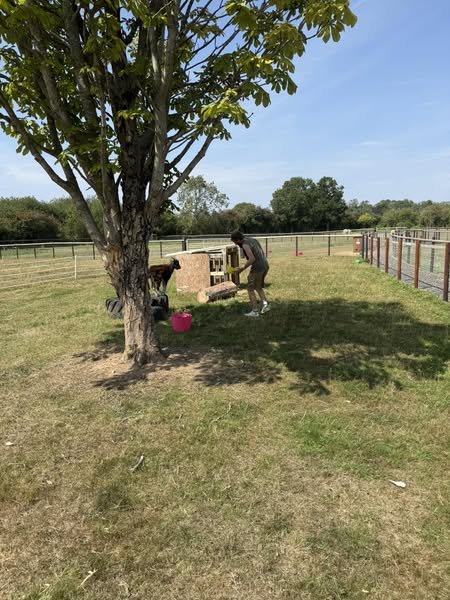 Join Our Volunteer Team at Horsepool Farm!