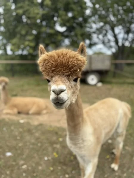 Our Open Day is this Saturday!