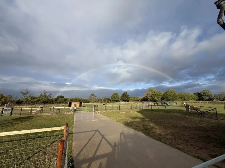 After weeks of dry weather, the rain has finally returned — and just look at the reward!