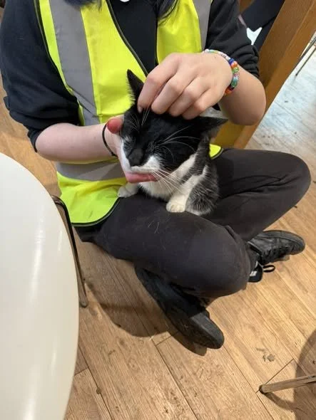 Pippin’s favourite part of the day?