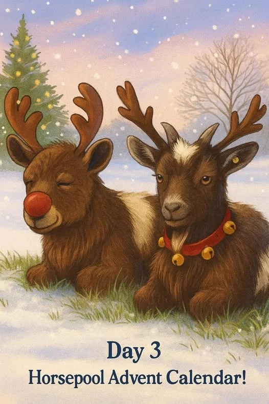Day 3 - Horsepool Advent Calendar