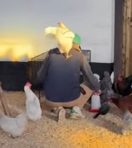 According to Sally…