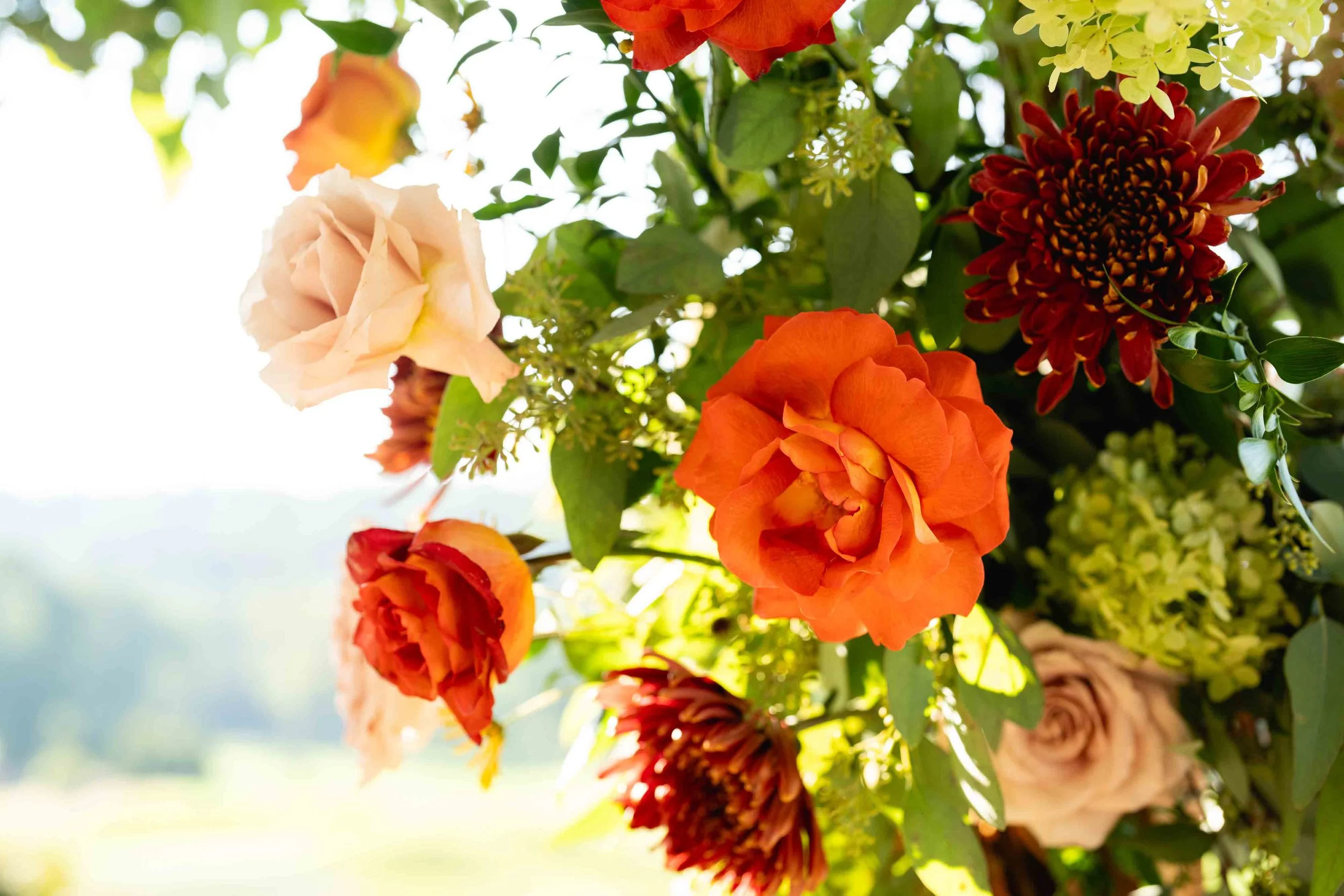 Bow&Rose-Hollow-Brook-Country-Club-Florist59.jpg