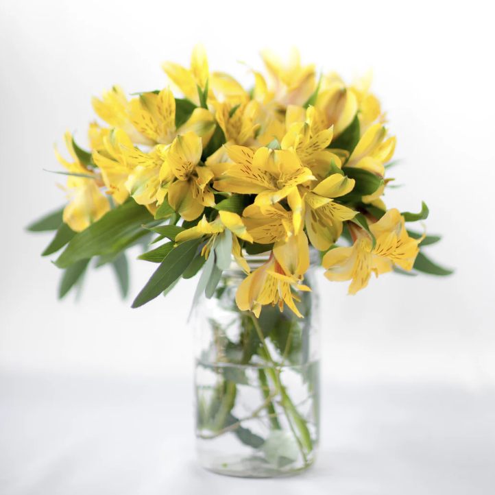 petite parties bow and rose-9.png