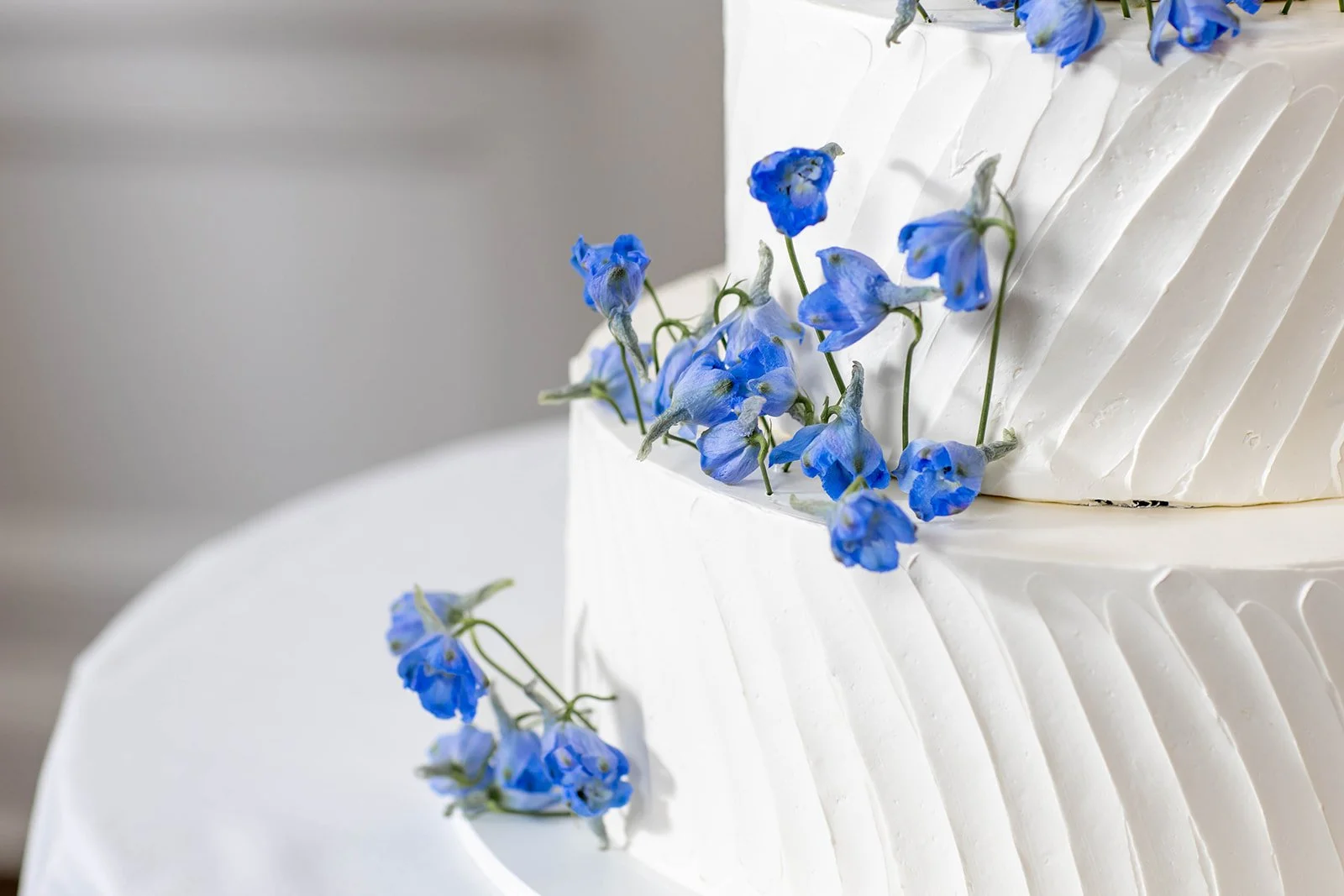 whitby-castle-wedding-florist-bow-and-rose-73.jpg