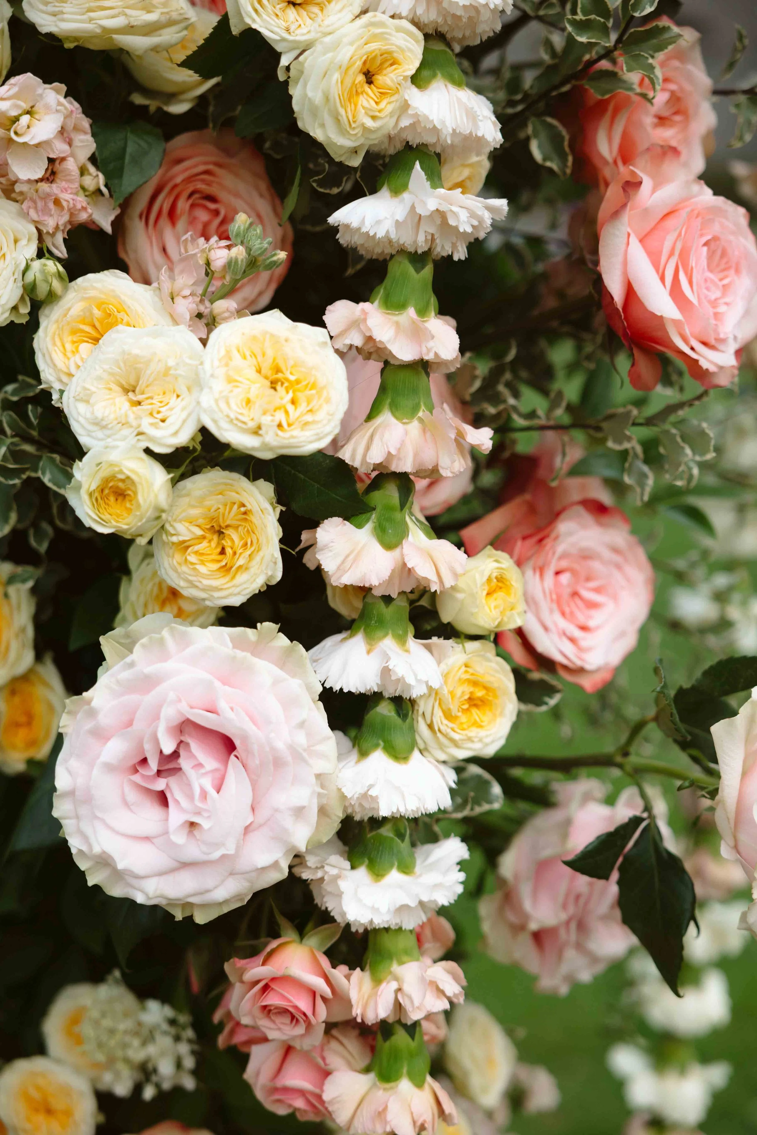 Wedding-Whitby-Castle-Florist-Bow-and-rose7.jpg