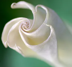 UNFOLDING THERAPY