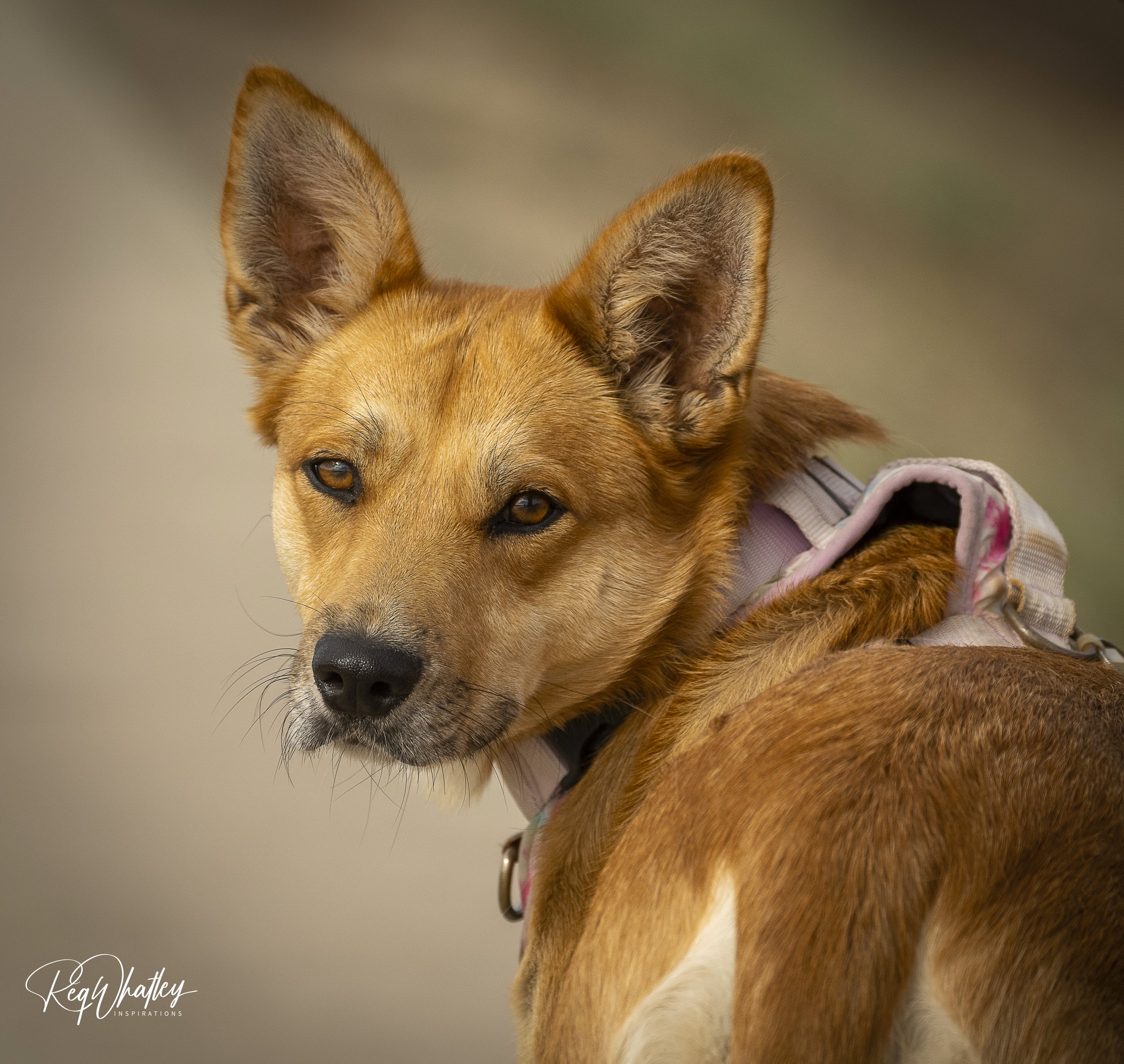 Journey 15-09-2022 W-2.jpg