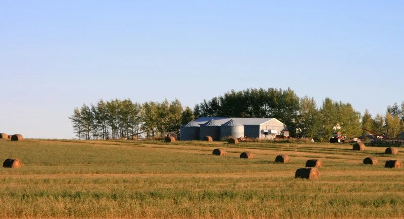 A farm field with hay bales, a barn, trees, and a tractor under a clear blue sky.